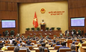Quốc hội thông qua Nghị quyết về thí điểm đấu giá biển số xe ô tô có hiệu lực từ ngày 1/7/2023
