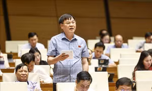 Quy định rõ nhiệm vụ, quyền hạn theo từng ngạch Kiểm sát viên
