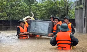 Mưa lũ tại Bắc Ninh: Ghi nhận ban đầu về thiệt hại và sự cố đê điều