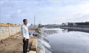 Người dân kiến nghị sớm khắc phục ô nhiễm môi trường từ bãi rác An Hiệp