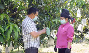 Minh bạch hóa quy trình sản xuất để tăng giá trị nông sản