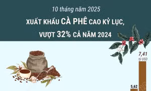 10 tháng năm 2025: Xuất khẩu cà phê cao kỷ lục, vượt 32% cả năm 2024