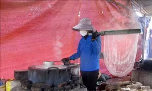 Làng nghề miến dong lớn nhất xứ Thanh hối hả ngày cận Tết