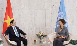 Tổng Giám đốc UNESCO: 'Việt Nam là một hình mẫu hợp tác hiệu quả với UNESCO'