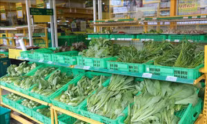 Kết nối giao thương tránh đứt gãy chuỗi cung ứng nông sản
