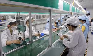 92% doanh nghiệp, người lao động quay lại sản xuất, kinh doanh sau Tết
