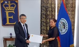Việt Nam - Belize tăng cường ủng hộ lẫn nhau trên các diễn đàn đa phương