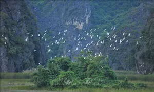 Từ thỏa thuận đến hành động