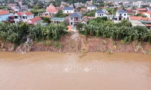 Công bố tình huống khẩn cấp về thiên tai đối với sự cố sạt lở bờ, vở sông đê hữu sông Thao