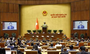 Thông qua quy định hoàn thuế GTGT gỡ 'điểm nghẽn' cho doanh nghiệp nông sản