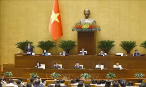 Cử tri Hà Nội: Thực hiện tốt 10 giải pháp của Chính phủ để đạt và vượt chỉ tiêu cả năm 2025