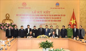 Phối hợp xây dựng Chính phủ điện tử, Tòa án điện tử và cải cách thủ tục hành chính