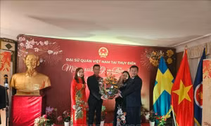 Xuân Giáp Thìn 2024: Tưng bừng Tết cộng đồng '55 mùa xuân Việt Nam - Thụy Điển'