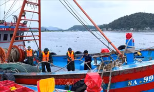 Hiểu rõ về cấp độ gió bão, áp thấp nhiệt đới