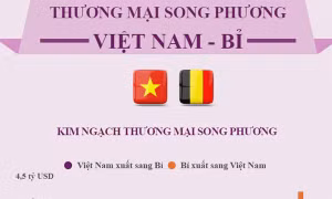 Quan hệ thương mại Việt Nam - Bỉ
