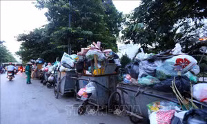 Những giải pháp có khả năng giảm thiểu 'ô nhiễm trắng'