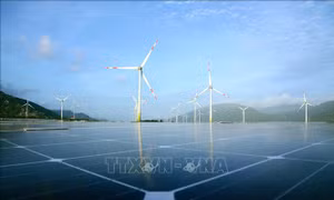 Loạt chính sách mới về kinh tế có hiệu lực từ tháng 12/2023