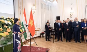 Nhiều hoạt động kỷ niệm 77 năm Quốc khánh 2/9 tại Nga và Hungary