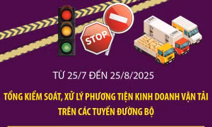 Tổng kiểm soát, xử lý phương tiện kinh doanh vận tải trên các tuyến đường bộ
