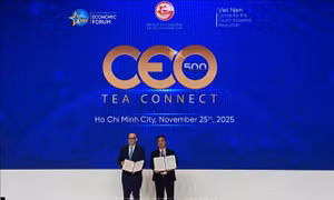 Điểm tin kinh tế Việt Nam nổi bật ngày 25/11/2025