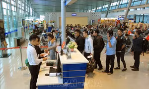 Các hãng hàng không cung ứng 5,5 triệu ghế phục vụ dịp cao điểm Tết