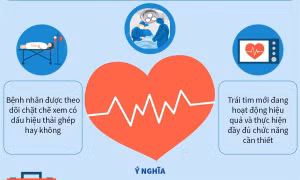 Mỹ thực hiện thành công ca ghép tim lợn cho người đầu tiên trên thế giới