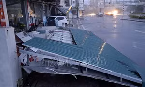 Bão số 3 hoành hành, gây nhiều thiệt hại tại Quảng Ninh và Hải Phòng