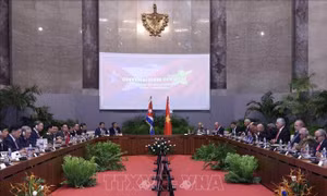 Tổng Bí thư, Chủ tịch nước Tô Lâm hội đàm với Bí thư thứ nhất, Chủ tịch Cuba Miguel Diaz Canel Bermudez