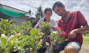 Tín dụng chính sách đồng hành cùng người dân Bến Tre