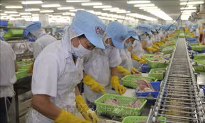 Xử lý 'tồn kho' chính sách để thúc đẩy tăng trưởng năm 2019