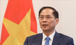 Phó Thủ tướng Bùi Thanh Sơn: Vững vàng phát triển, vững bước tương lai