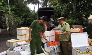 Nhiệm vụ, cơ cấu tổ chức của Tổng cục Quản lý thị trường