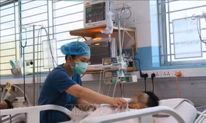 TP Hồ Chí Minh: Dịch sốt xuất huyết giảm nhưng vẫn ở mức cao