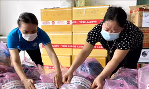 Quảng Ngãi hỗ trợ hơn 60 tấn nhu yếu phẩm cho người dân TP Hồ Chí Minh