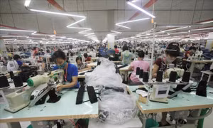 Xác định những lĩnh vực tiềm năng thúc đẩy thương mại Việt Nam, Hoa Kỳ