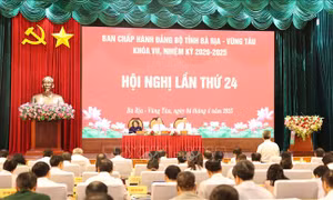 Bà Rịa - Vũng Tàu: 7/14 chỉ tiêu có mức tăng trưởng cao