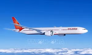 Máy bay của Ấn Độ phải hạ cánh khẩn cấp xuống Frankfurt (Đức)