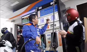 Quyết liệt triển khai hiệu quả lập hóa đơn điện tử với bán lẻ xăng dầu