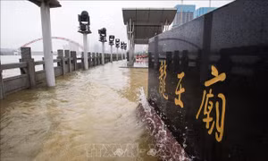 Trung Quốc: Mực nước sông tại Giang Tây, Phúc Kiến trên mức báo động