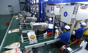 Xuất khẩu gạo của Việt Nam sang Senegal tăng gần 30 lần