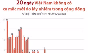 20 ngày Việt Nam không có ca mắc COVID-19 mới do lây nhiễm trong cộng đồng 