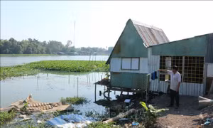 Sạt lở ven sông Vàm Cỏ Tây khiến hàng trăm hộ dân bất an