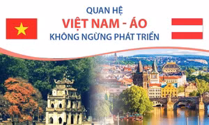 Chuyến thăm CH Áo của Chủ tịch nước góp phần thúc đẩy hợp tác song phương 