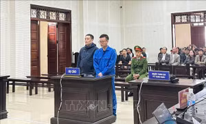Phạt tù chung thân cựu Trưởng phòng giao dịch chiếm đoạt hơn 96 tỷ đồng
