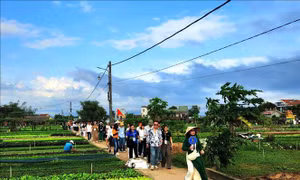 Phát triển du lịch nông thôn theo phương châm 'mỗi làng một sản phẩm'