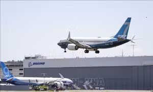 Mỹ: Kiểm tra gần 500 máy bay Boeing 737 MAX do nguy cơ nứt thân máy bay
