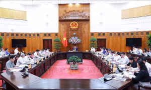 Thủ tướng: Rà soát văn bản pháp luật, khơi thông cho phát triển