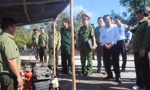 Khô hạn diện rộng, nguy cơ cháy hàng ngàn hécta rừng Cà Mau 