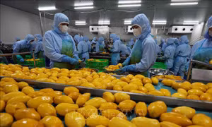 Nông sản Việt nhiều cơ hội thâm nhập thị trường Halal