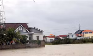 Khánh Hòa linh hoạt ứng phó với mưa lũ lớn, ngập lụt sâu tiếp diễn